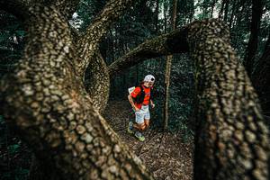 BIB: 
                            <button type="button" onclick="openModal(25389806)" class="btn btn-primary btn-sm float-right btn-popup" data-toggle="modal" data-target=".modal-high-quality">
                        <i class="fas fa-shopping-cart"></i> Add to Cart
                    </button>
                                            <button type="button" onclick="isThisMe(25389806, true)" class="btn btn-success btn-sm float-right btn-popup btn-isme hidden" data-toggle="tooltip" data-placement="bottom" title="นี่คือรูปของคุณใช่ไหม คลิกที่นี่เพื่อเอาเข้าอัลบั้ม">
                        <i class="fas fa-plus"></i> Add to album
                    </button>
                    <button type="button" onclick="isThisMe(25389806, false)" class="btn btn-warning btn-sm float-right btn-popup btn-isnotme hidden">
                        <i class="fas fa-ban"></i> Remove from album
                    </button>